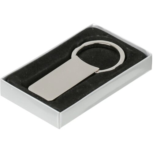 Sleutelhanger Classic Large in de kleur zilver