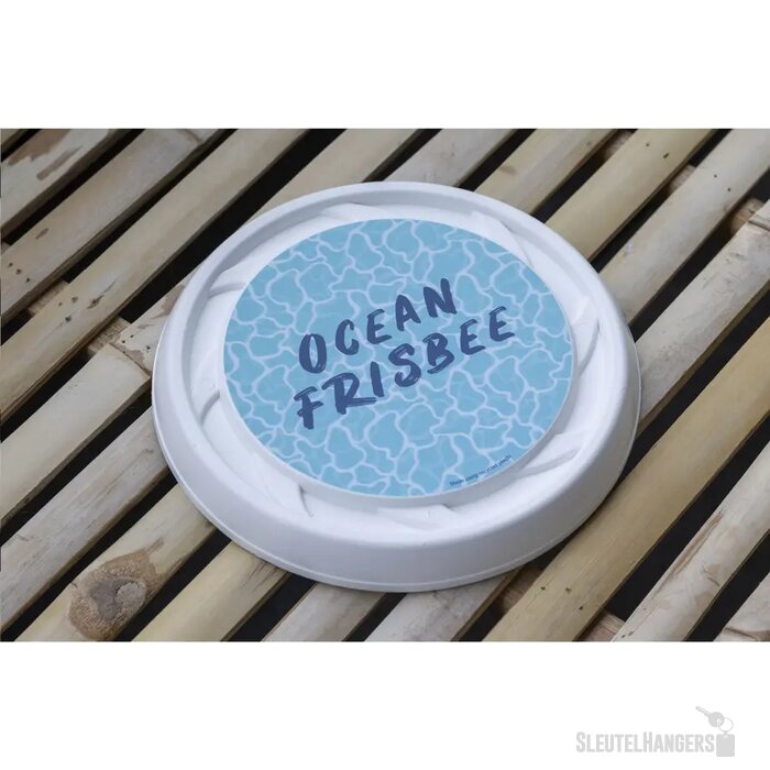 Recycled Plastic Frisbee Wit