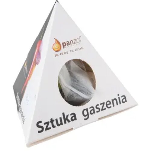 10 piramide theezakjes in bedrukte doos