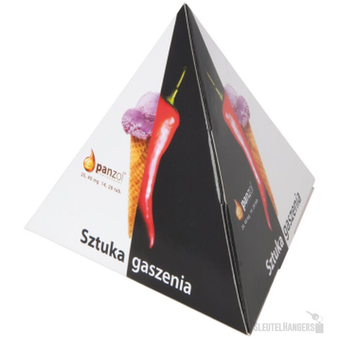 10 piramide theezakjes in bedrukte doos Custom Made