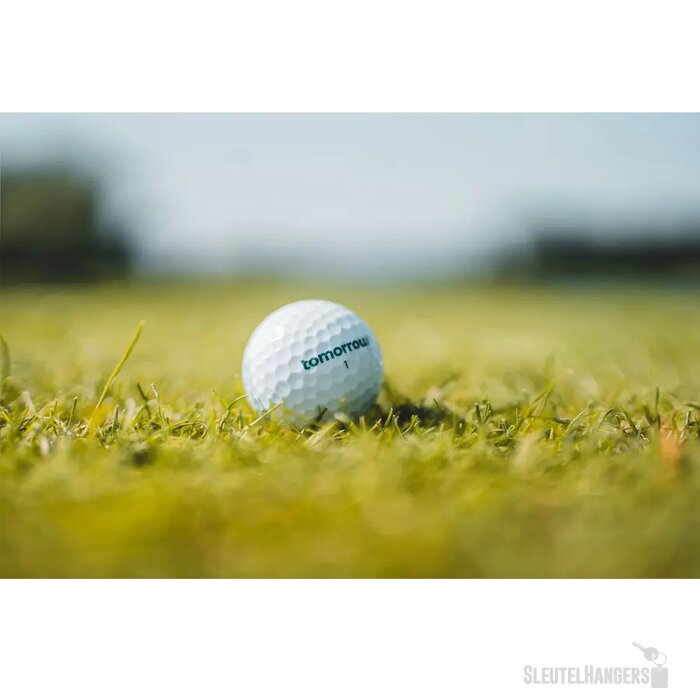 Gerecyclede Golfbal Wit