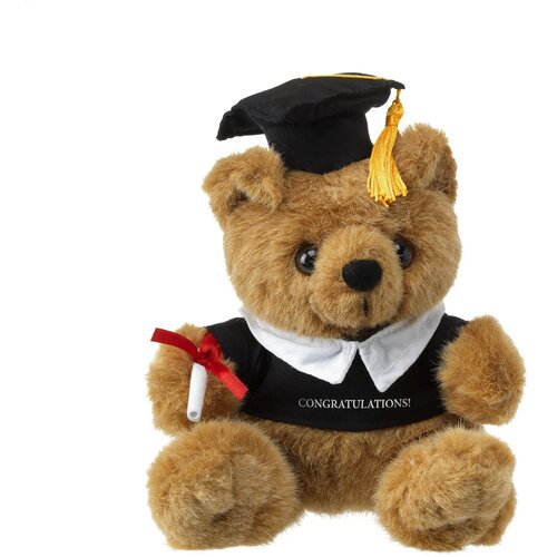 Geslaagd Knuffel Met Diploma