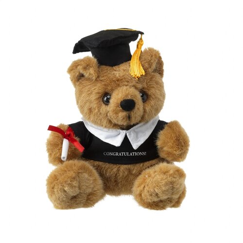 Geslaagd Knuffel Met Diploma Bruin
