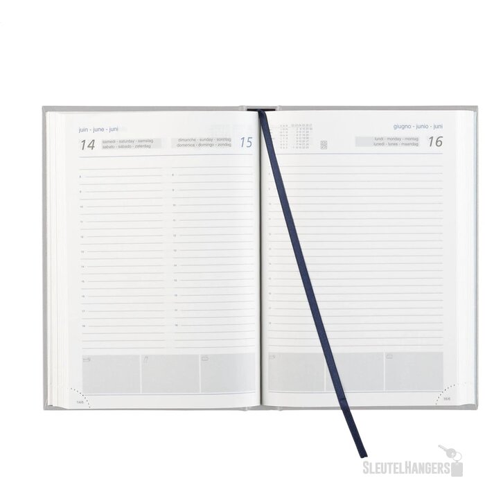 Eurotop Balacron Agenda Zilver