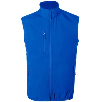 Blauw Blauw