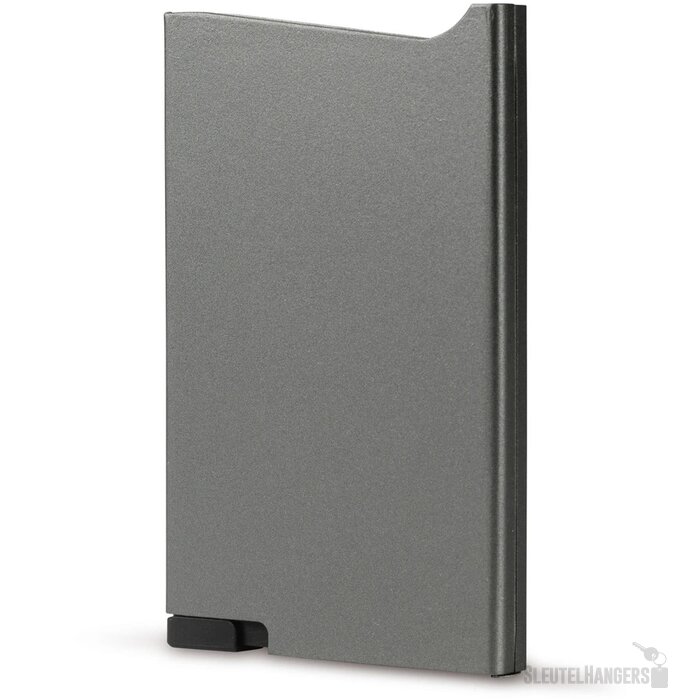 Kunststof pasjeshouder Zilver