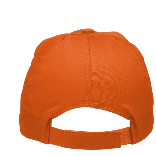 Goedkope Pet Oranje