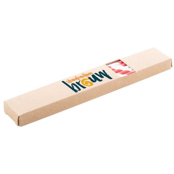 Doosje Met 10 Papieren Rietjes Rood