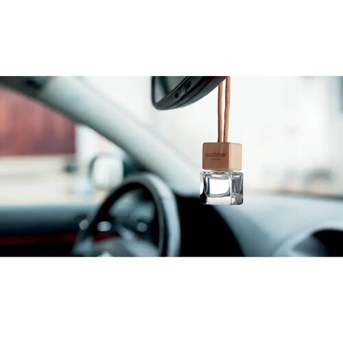 Auto luchtverfrisser Fresh air Bruin