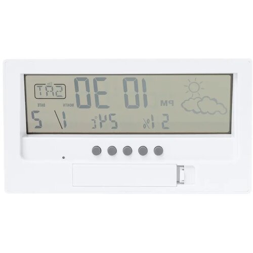 Roamer Bamboe Weerstation Naturel
