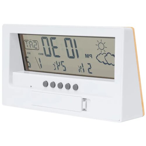 Roamer Bamboe Weerstation Naturel