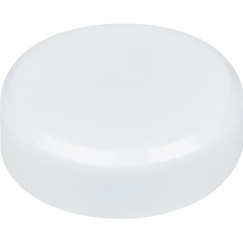 Magneet wit