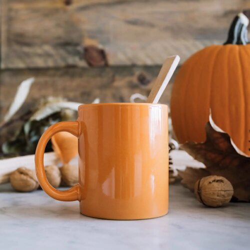 Mok Oslo Kleur 300ml oranje