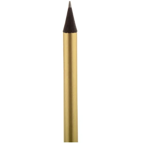 Potlood Met Metallic Afwerking Roze