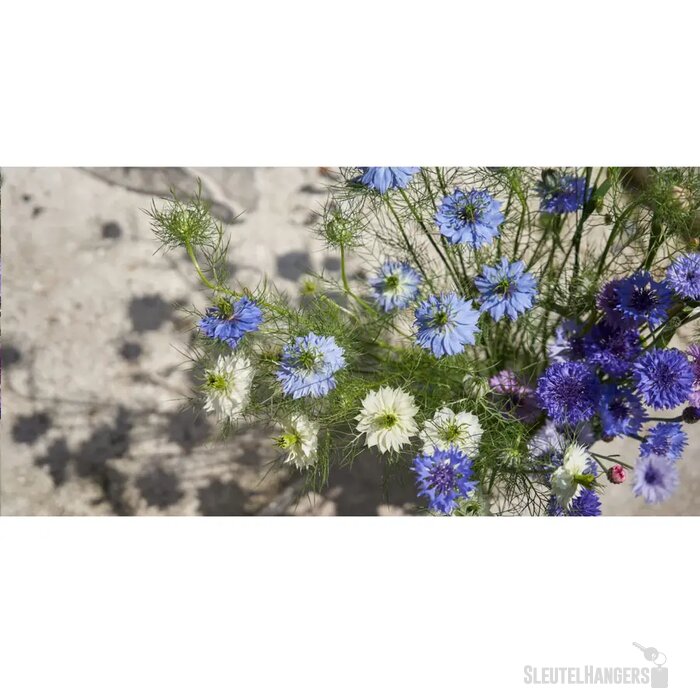 Sproutworld Sharpened Pencil Potlood Veldbloemen