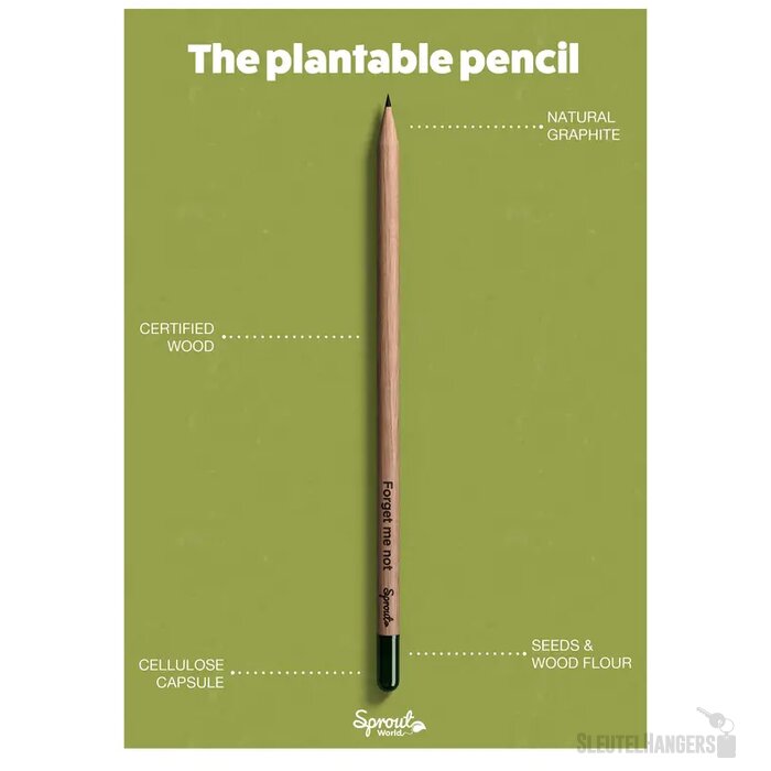 Sproutworld Sharpened Pencil Potlood Forget Me Not