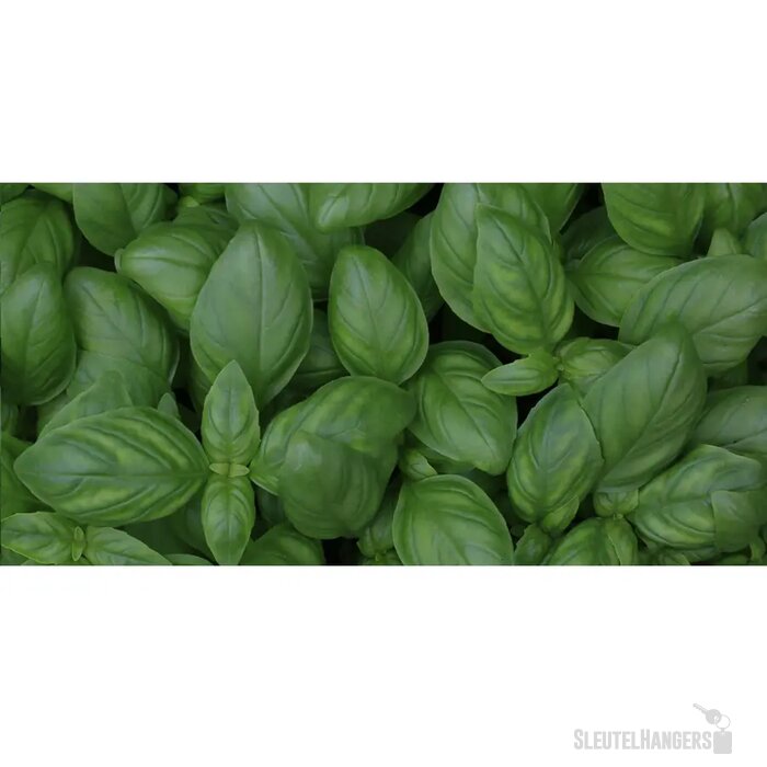Sproutworld Sharpened Pencil Potlood Basil