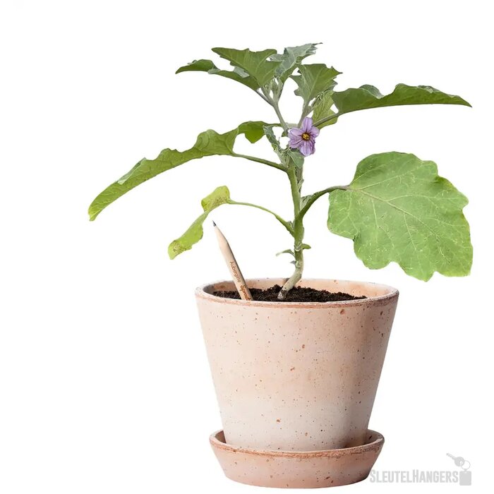 Sproutworld Sharpened Pencil Potlood Aubergine