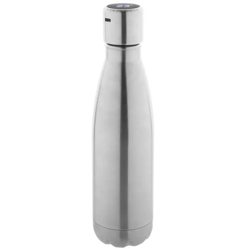 Reverest Geïsoleerde Fles Zilver 500 ml