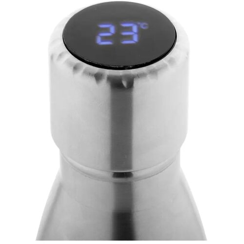 Reverest Geïsoleerde Fles Zilver 500 ml