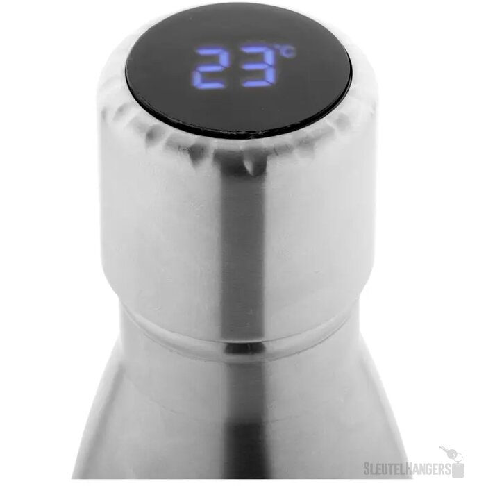 Reverest Geïsoleerde Fles Zilver