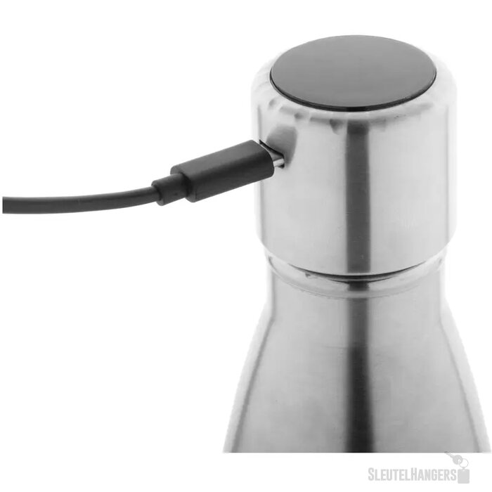 Reverest Geïsoleerde Fles Zilver