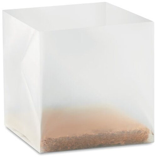Basilicum zaadjes Basil beige