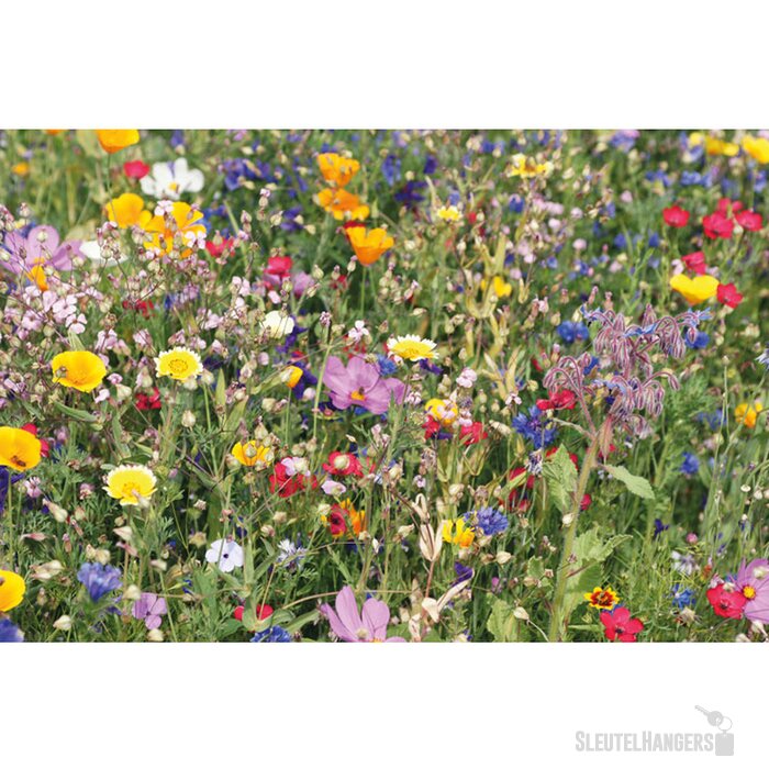 Bloemenzaadjes in envelop Seedlope beige