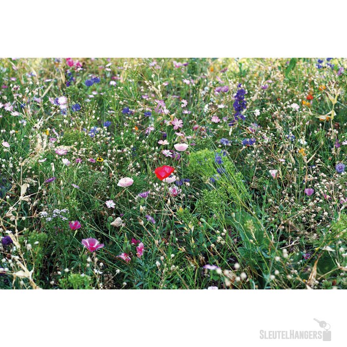 Bloemenzaadjes in envelop Seedlopebee beige