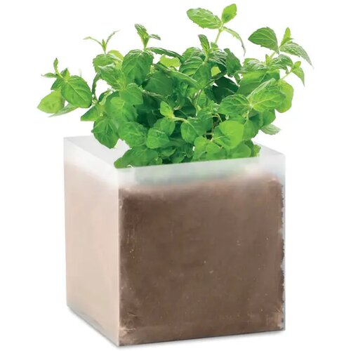 Compost met munt zaadjes Mint beige
