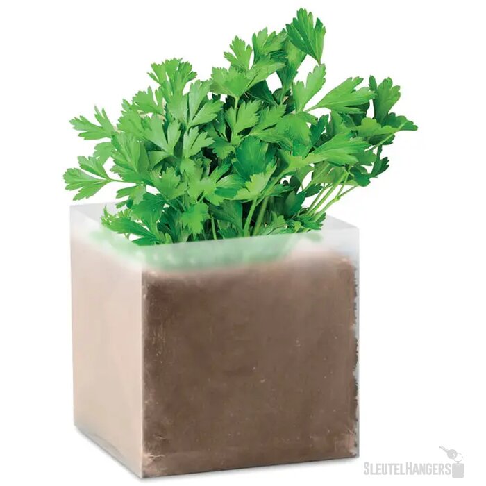 Compost met peterselie zaadjes Parsely Beige