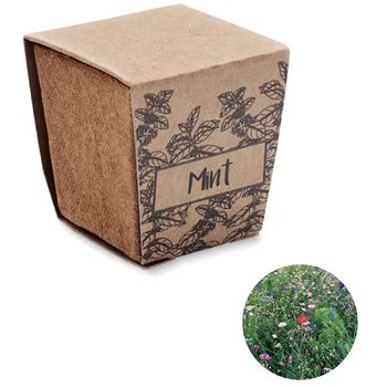 Muntzaad kweekset Mint kit beige