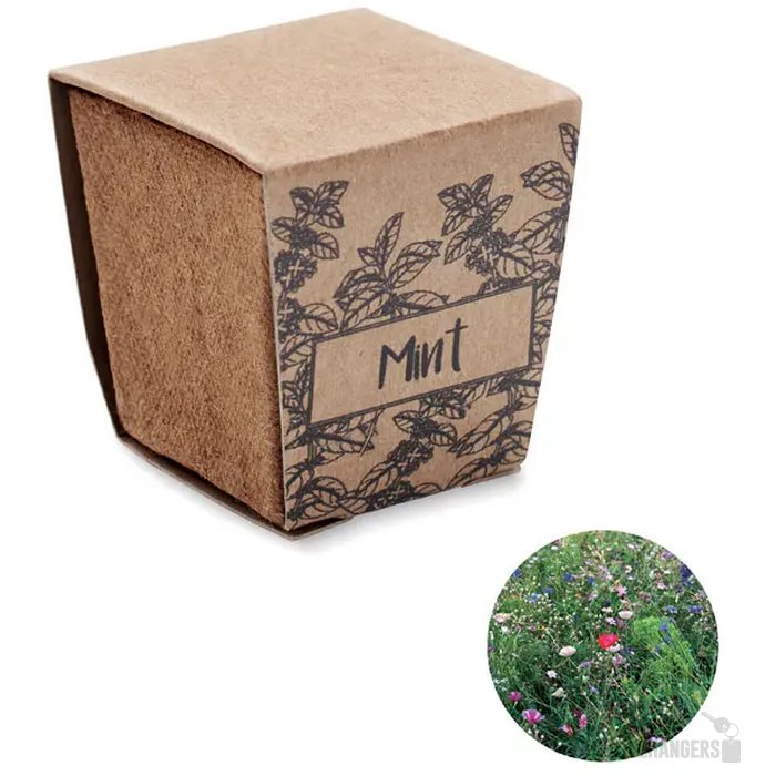 Muntzaad kweekset Mint kit beige