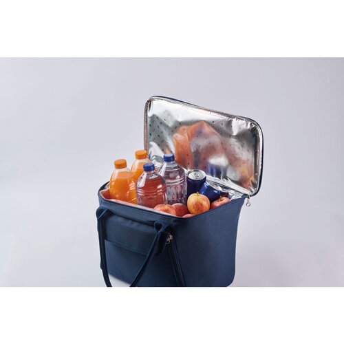 Rpet picknick koeltas Forus blauw