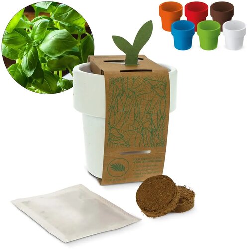 Hot-but-cool beker met basilicum zaadjes
