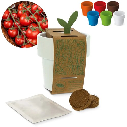 Hot-but-cool beker met kerstomaten zaadjes