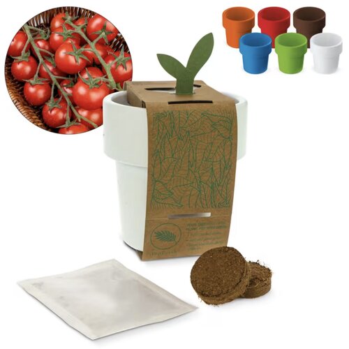 Hot-but-cool beker met kerstomaten zaadjes wit