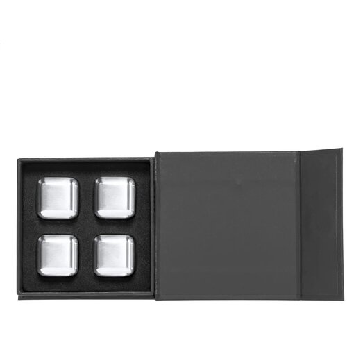 Arran Ijsblokjes Set Zilver