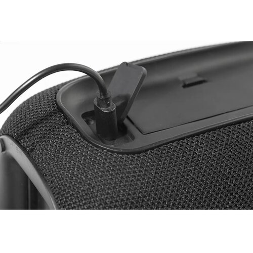 Carabeat Rabs Draadloze Luidspreker Zwart