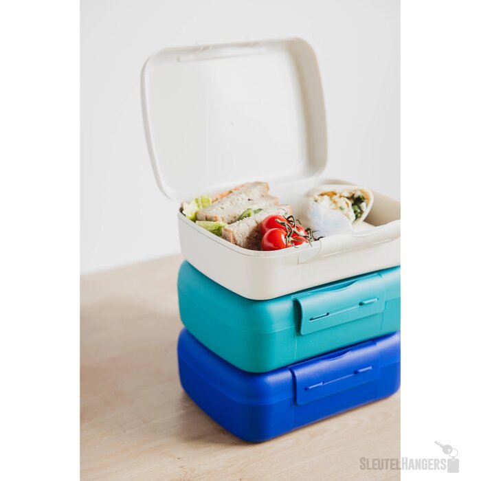 Day To Day Brunchbox 1,4 L