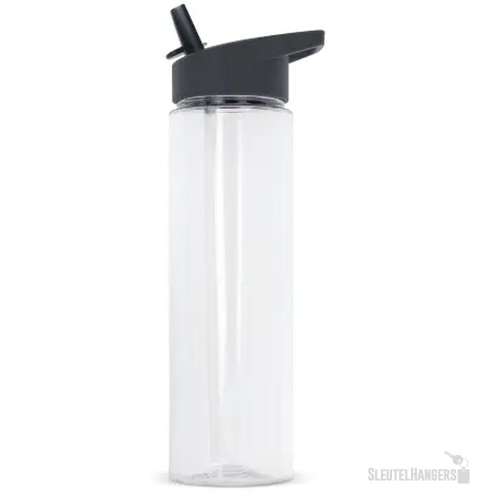 RPET waterfles met rietje (600 ml) Grijs
