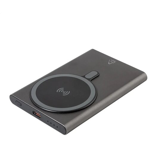 Ralustick Powerbank Grijs