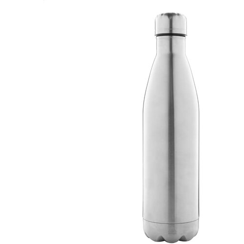 Rinsul Geïsoleerde Fles Zilver