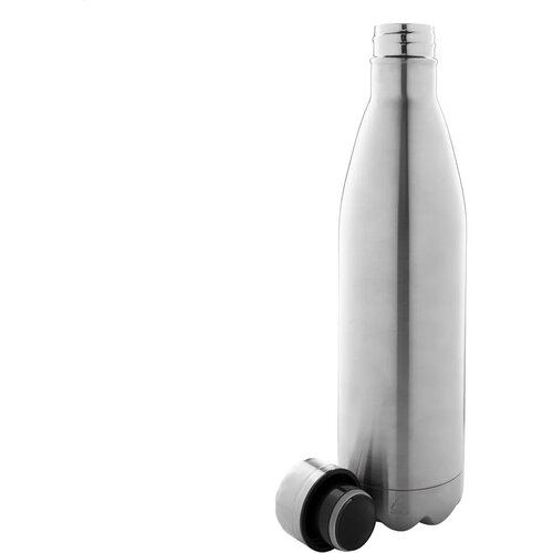 Rinsul Geïsoleerde Fles Zilver