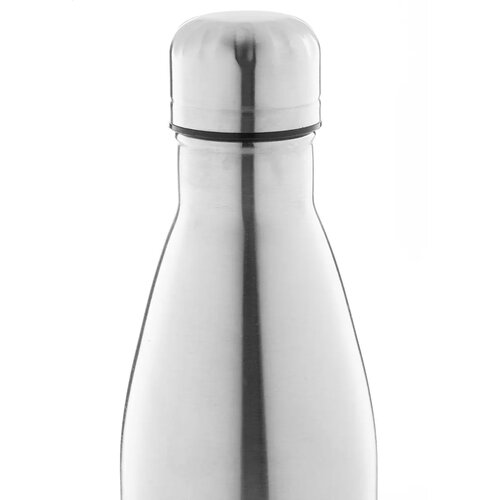 Rinsul Geïsoleerde Fles Zilver