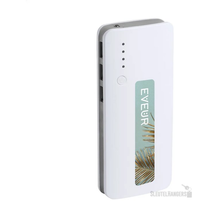 Tenak Powerbank Asgrijs