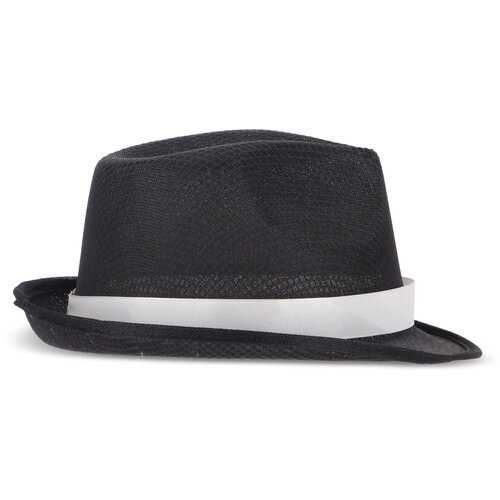 Polyester hoed met band zwart