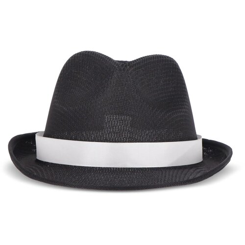 Polyester hoed met band zwart