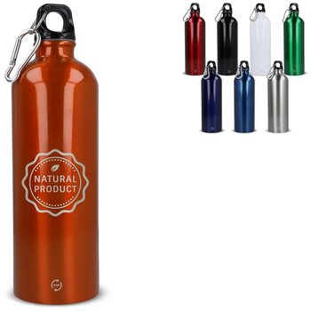 R-SS enkelwandige fles met karabijnhaak 750ml zilver