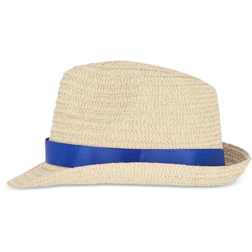 Strohoed met gekleurde band donkerblauw